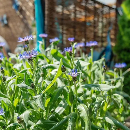 Hobbit Lounge Lägenhet Eppingen