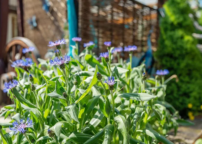 Hobbit Lounge 아파트 에핀겐